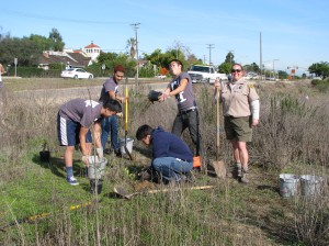 Volunteers Upper Newport Bay